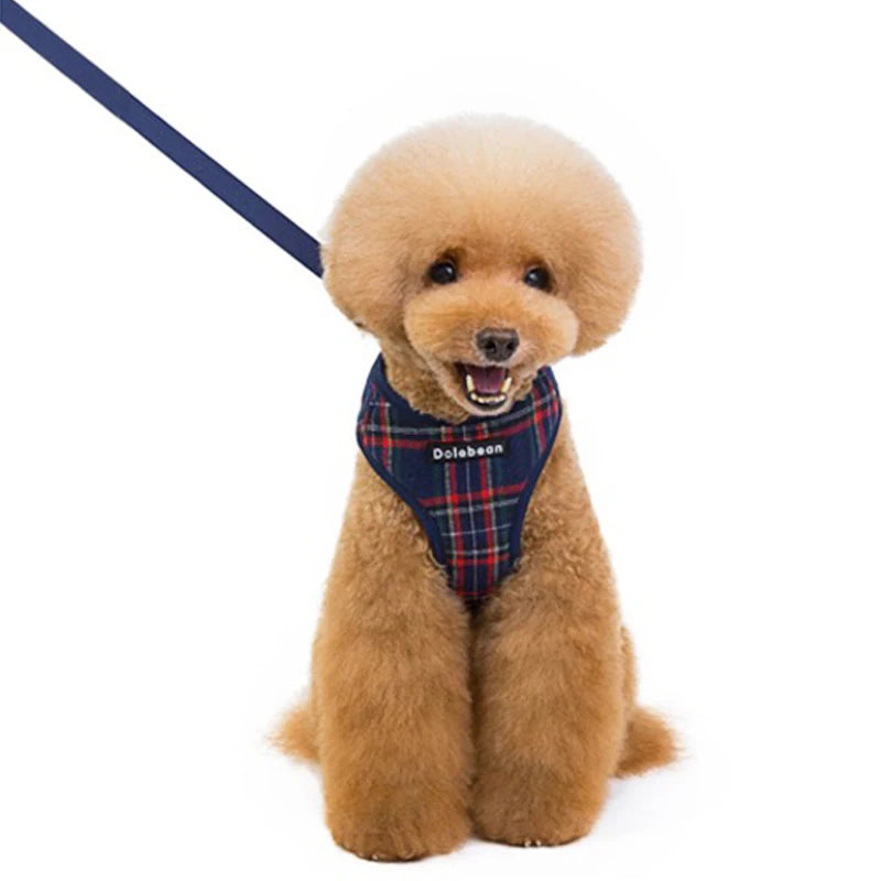 Pettorina e Guinzaglio per Cani– Sicura e Regolabile