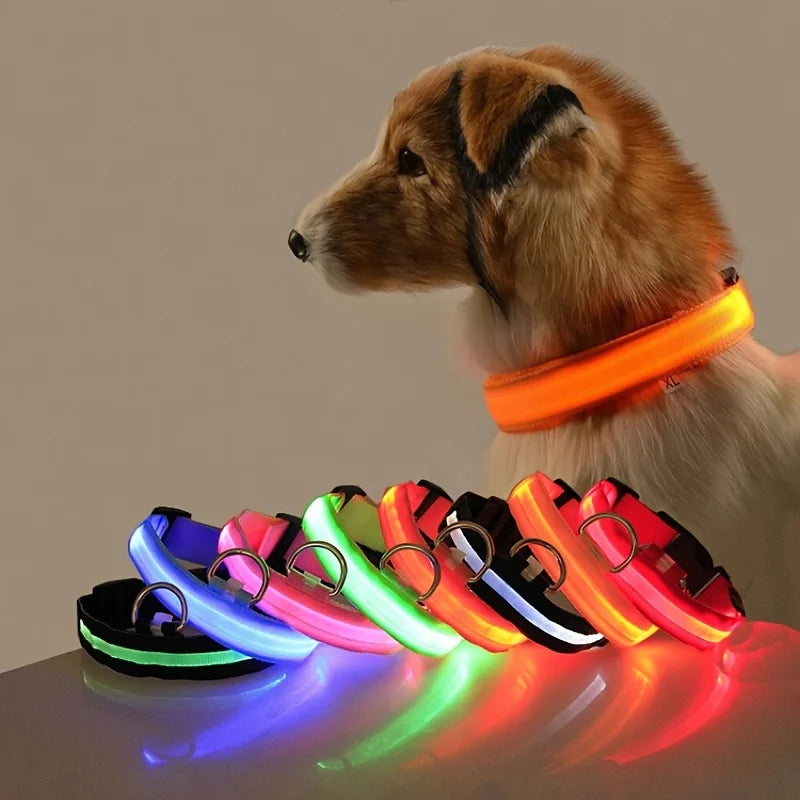 Collare LED per Cani – Luminoso, Regolabile, Sicurezza Notturna
