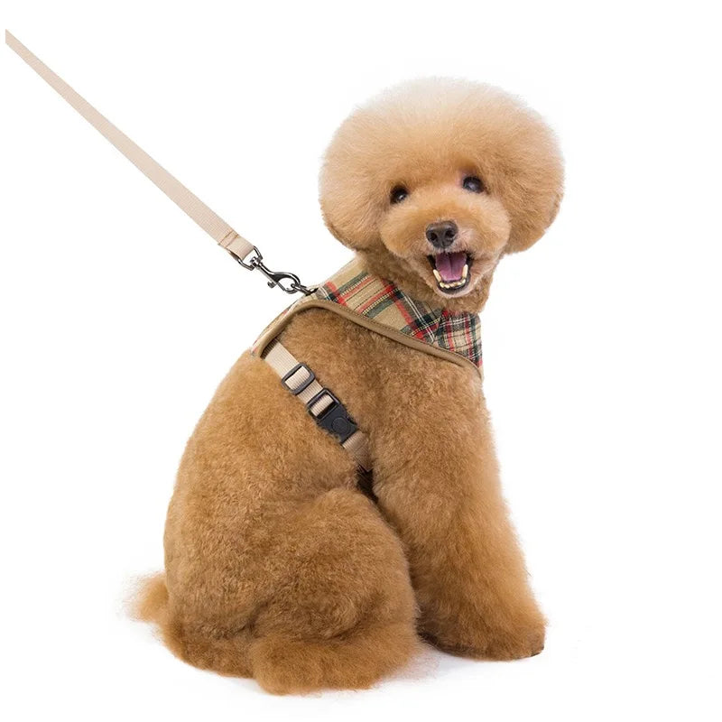 Pettorina e Guinzaglio per Cani– Sicura e Regolabile